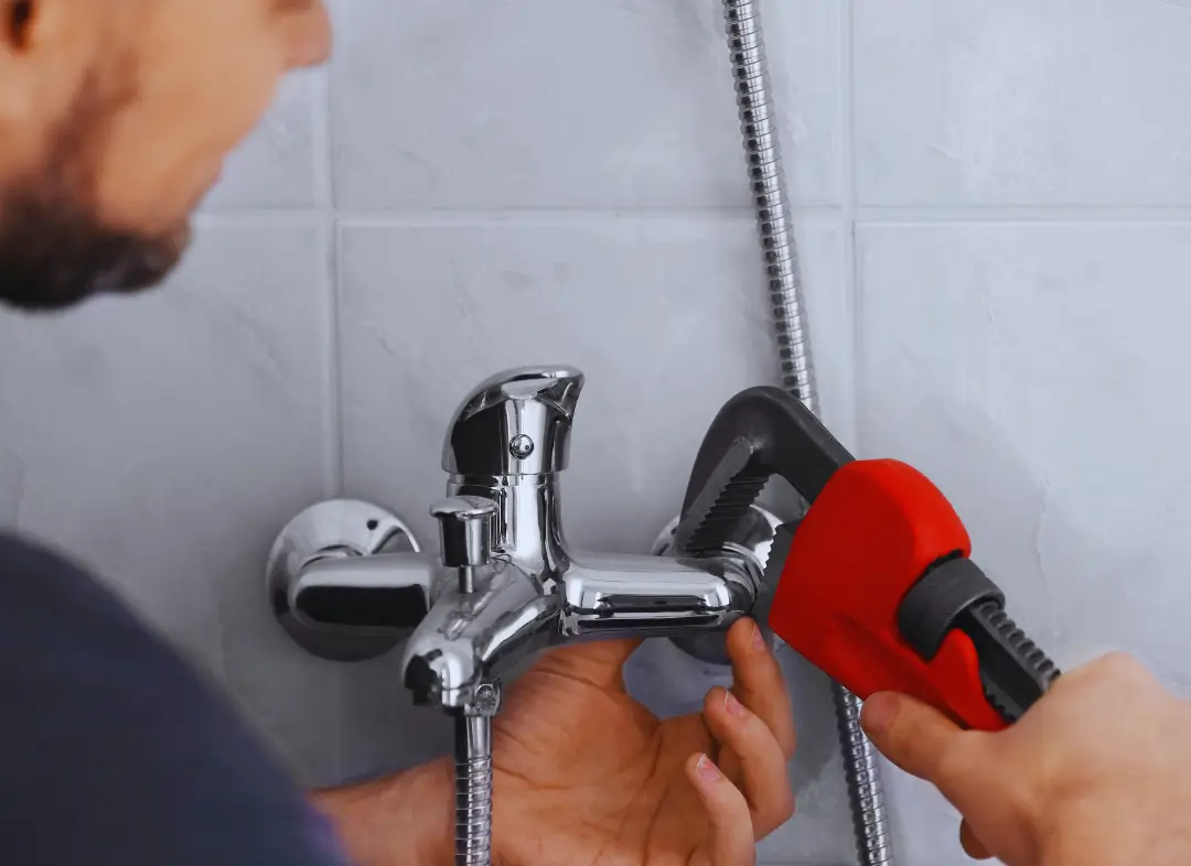 Mitigeur thermostatique de baignoire Saint-Julien-en-Genevois